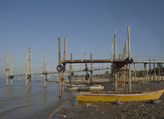 POR LA BAJANTE HISTÓRICA DEL RÍO PARANÁ, SE SUSPENDE UN TRADICIONAL CERTAMEN DE PESCA DE SANTA FE