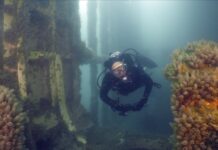 PROYECTAN UN CIRCUITO DE BUCEO COMO HOMENAJE A MALVINAS