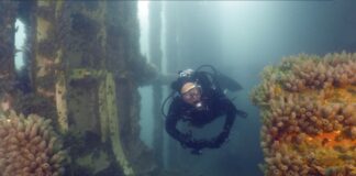 PROYECTAN UN CIRCUITO DE BUCEO COMO HOMENAJE A MALVINAS