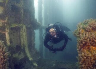 PROYECTAN UN CIRCUITO DE BUCEO COMO HOMENAJE A MALVINAS