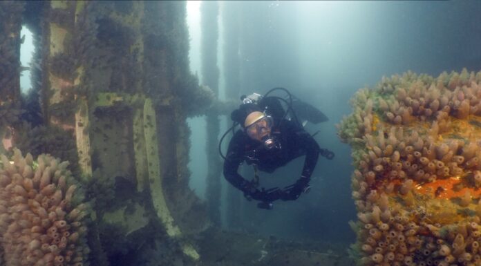 PROYECTAN UN CIRCUITO DE BUCEO COMO HOMENAJE A MALVINAS