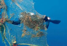 LIMPIAR EL FONDO DEL MAR EN LOS RATOS LIBRES