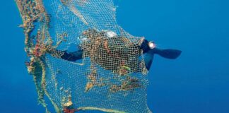 LIMPIAR EL FONDO DEL MAR EN LOS RATOS LIBRES