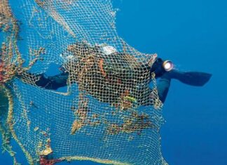 LIMPIAR EL FONDO DEL MAR EN LOS RATOS LIBRES