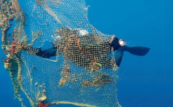 LIMPIAR EL FONDO DEL MAR EN LOS RATOS LIBRES