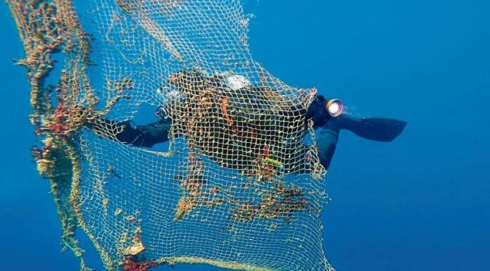 LIMPIAR EL FONDO DEL MAR EN LOS RATOS LIBRES