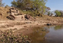 POR LA BAJANTE DEL RÍO PARANÁ EMERGIERON LOS RESTOS DE LOS ANTIGUOS MUELLES DE UN PUERTO