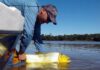 PESCARON UN DORADO Y LO RECAPTURAN EN EL RÍO PARANÁ A CASI 1000 KILÓMETROS