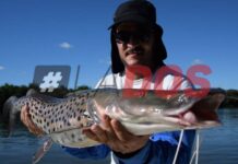 CORRIENTES: DISCUTEN LA SITUACIÓN ACTUAL DEL RÍO PARANÁ Y AJUSTAN CONTROLES EN LA PESCA