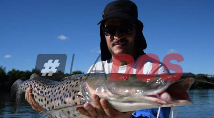 CORRIENTES: DISCUTEN LA SITUACIÓN ACTUAL DEL RÍO PARANÁ Y AJUSTAN CONTROLES EN LA PESCA