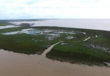 VECINOS ELIGIERON LOS NOMBRES PARA LAS ISLAS NUEVAS DE SAN ISIDRO