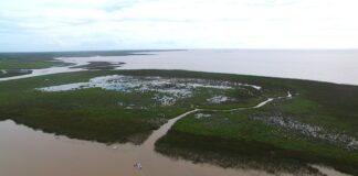 VECINOS ELIGIERON LOS NOMBRES PARA LAS ISLAS NUEVAS DE SAN ISIDRO