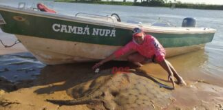 MONSTRUOS DEL PARANÁ: PESCAN Y DEVUELVEN UNA RAYA GIGANTE