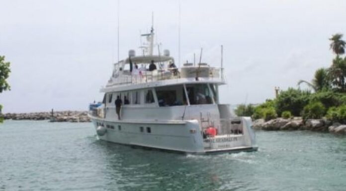 UN BARCO DIVISÓ LUCES DE BENGALAS EN LA ZONA DONDE BUSCAN AL YATE DESAPARECIDO CON TRIPULANTES ARGENTINOS