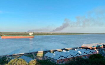 VIDEO- FUEGO EN LAS ISLAS DEL DELTA DEL PARANÁ
