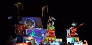 “NAVEGANDO CON AMIGOS” CONVOCA A ASISTIR A LA FIESTA PROVINCIAL DE LAS CARROZAS NÁUTICAS