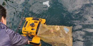 PRESENTAN UN ROBOT DE LIMPIEZA ECOLÓGICO PARA PUERTOS DEPORTIVOS