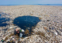 LA MARINA MERCANTE DICTARÁ JORNADAS DE CONCIENTIZACIÓN EN LA TEMÁTICA DE “CONTAMINACIÓN DEL MAR POR PLÁSTICOS”