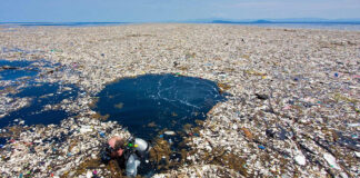 LA MARINA MERCANTE DICTARÁ JORNADAS DE CONCIENTIZACIÓN EN LA TEMÁTICA DE “CONTAMINACIÓN DEL MAR POR PLÁSTICOS”
