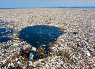 LA MARINA MERCANTE DICTARÁ JORNADAS DE CONCIENTIZACIÓN EN LA TEMÁTICA DE “CONTAMINACIÓN DEL MAR POR PLÁSTICOS”