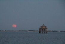 “FARO DEL FIN DEL MUNDO”: LA HISTORIA DEL FARO QUE FUE INMORTALIZADO POR JULIO VERNE
