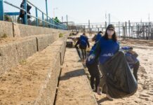 ROSARIO: RECOGIERON 900 KILOS DE BASURA EN LAS COSTAS DEL RÍO PARANÁ