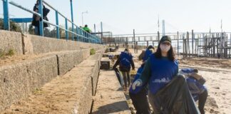 ROSARIO: RECOGIERON 900 KILOS DE BASURA EN LAS COSTAS DEL RÍO PARANÁ