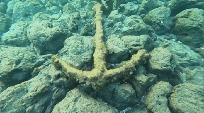 HALLAZGO IMPRESIONANTE: TESORO INVALUABLE EN UN BARCO INGLÉS HUNDIDO HACE MÁS DE 200 AÑOS