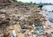 LA CONTAMINACIÓN POR PLÁSTICO ACECHA AL RÍO PARANÁ