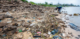 LA CONTAMINACIÓN POR PLÁSTICO ACECHA AL RÍO PARANÁ