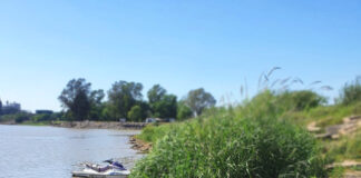 PREFECTURA RESCATO A UN PERRO