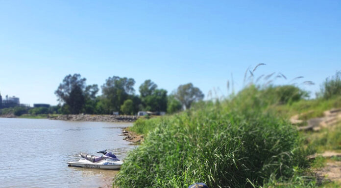 PREFECTURA RESCATO A UN PERRO