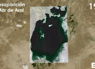 MAR ARAL – DESIERTO DE BARCOS