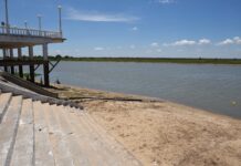 UN NUEVO ATAQUE DE PALOMETAS DEJÓ A UN HOMBRE SIN UN DEDO EN EL RÍO PARANÁ