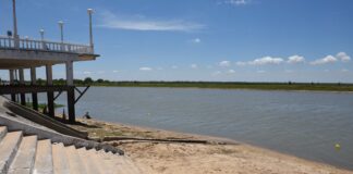 UN NUEVO ATAQUE DE PALOMETAS DEJÓ A UN HOMBRE SIN UN DEDO EN EL RÍO PARANÁ