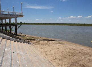 UN NUEVO ATAQUE DE PALOMETAS DEJÓ A UN HOMBRE SIN UN DEDO EN EL RÍO PARANÁ