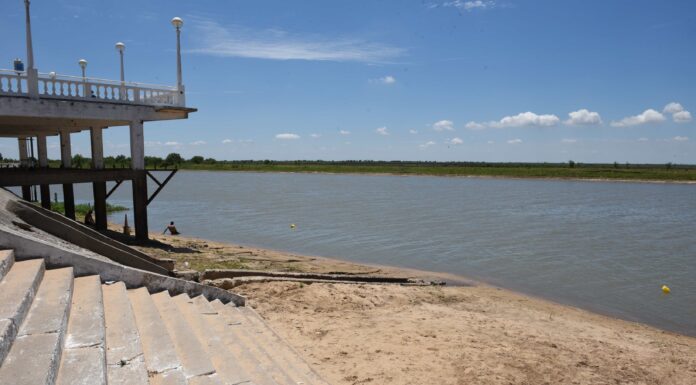 UN NUEVO ATAQUE DE PALOMETAS DEJÓ A UN HOMBRE SIN UN DEDO EN EL RÍO PARANÁ