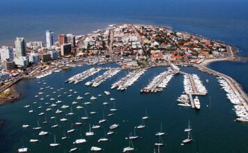 CON RESERVAS COMPLETAS Y LISTA DE ESPERA: ASÍ ESTÁ EL PUERTO DE PUNTA DEL ESTE