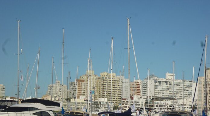 LAS 520 AMARRAS DEL PUERTO DE YATES DE “PUNTA DEL ESTE” ESTÁN OCUPADAS