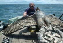 ANUNCIO EN URUGUAY: TRANSFORMARÁN LA EMBLEMÁTICA ÁGUILA NAZI DEL GRAF SPEE EN UNA PALOMA DE LA PAZ