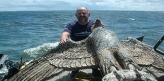 ANUNCIO EN URUGUAY: TRANSFORMARÁN LA EMBLEMÁTICA ÁGUILA NAZI DEL GRAF SPEE EN UNA PALOMA DE LA PAZ