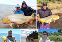 INCREÍBLE HALLAZGO: UN DORADO FUE PESCADO Y DEVUELTO AL RÍO CINCO VECES