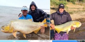 INCREÍBLE HALLAZGO: UN DORADO FUE PESCADO Y DEVUELTO AL RÍO CINCO VECES