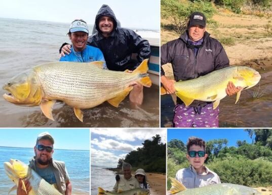 INCREÍBLE HALLAZGO: UN DORADO FUE PESCADO Y DEVUELTO AL RÍO CINCO VECES