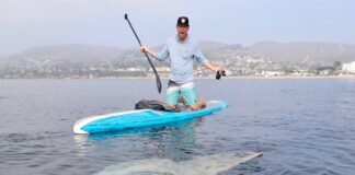 UNA EXTRAÑA CRIATURA GIGANTE NADÓ POR DEBAJO DE UNA TABLA DE PADDLE SURF (VIDEO)