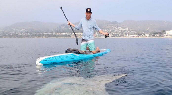 UNA EXTRAÑA CRIATURA GIGANTE NADÓ POR DEBAJO DE UNA TABLA DE PADDLE SURF (VIDEO)