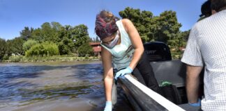 CINOBACTERIAS: EL MUNICIPIO DE TIGRE Y NACIÓN REALIZARON MONITOREOS EN EL DELTA PARA EVALUAR EL ESTADO DEL AGUA