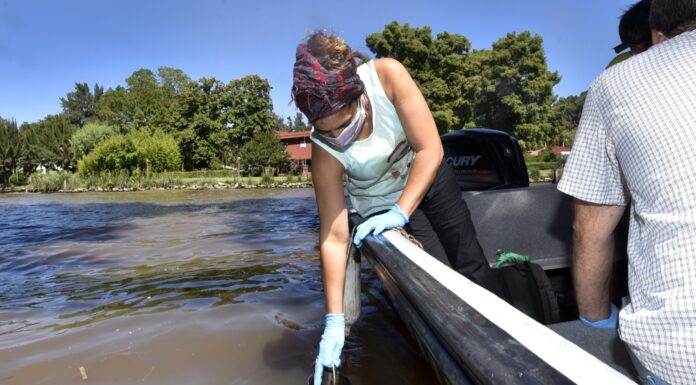 CINOBACTERIAS: EL MUNICIPIO DE TIGRE Y NACIÓN REALIZARON MONITOREOS EN EL DELTA PARA EVALUAR EL ESTADO DEL AGUA
