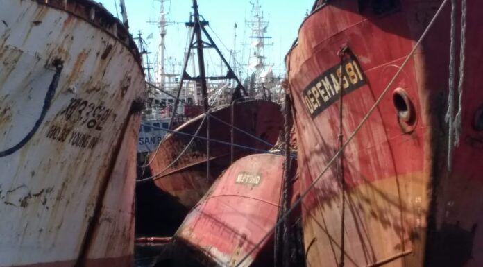 AUTORIZAN A HUNDIR LOS “BARCOS CHATARRA” DEL PUERTO DE MAR DEL PLATA EN EL PARQUE SUBMARINO “CRISTO REY”