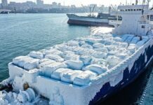 FRÍO EXTREMO – BUQUE CARGUERO DE AUTOS LLEGA A RUSIA CON SU CARGA CONGELADA (VIDEO)